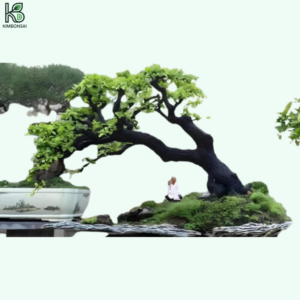 Cây Bạch Đàn Bonsai